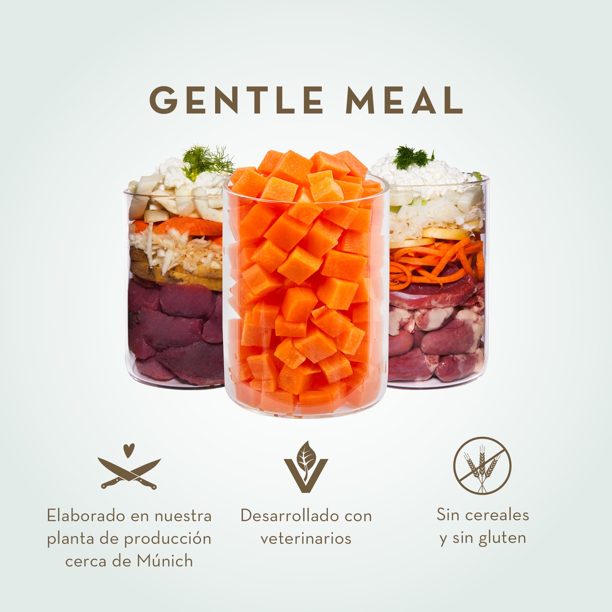 Terra Canis Pollo, Zanahoria y Requesón - alimento gástrico e intestinal, 6x800 g I Ideal para Problemas gastrointestinales Agudos | Ingredientes 100% Human-Grade | sin Cereales