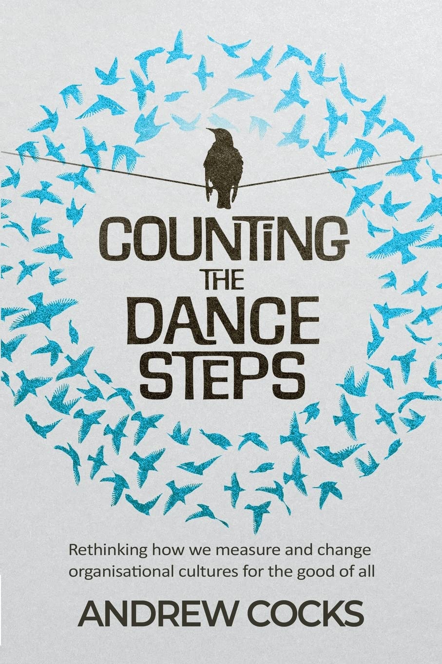 Counting the dance steps: Rethinking how we define, measure, and change organisational cultures for the good of all