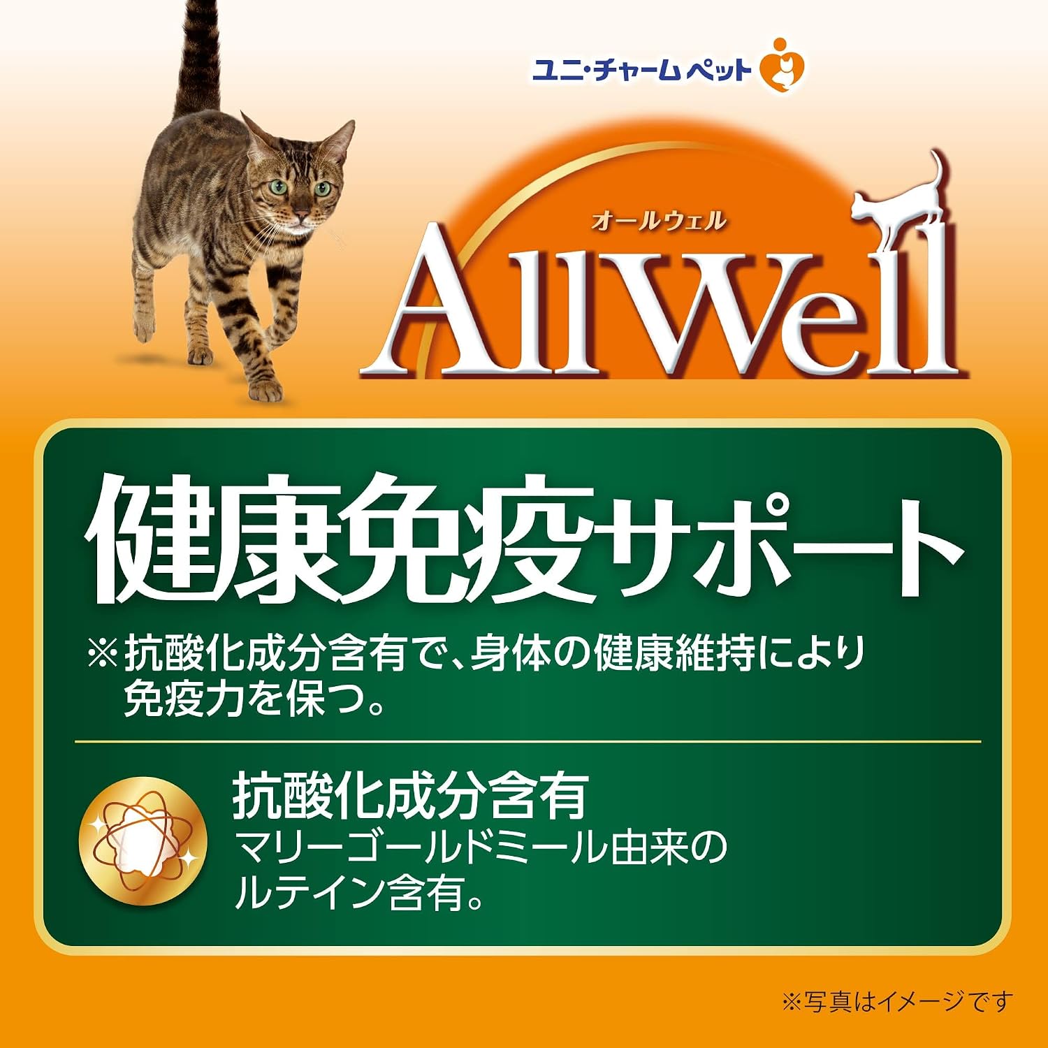 お魚と野菜入りミックス 【3.5kg*3袋セット】 ネコ ペットフード 猫用餌 日本製 国産 【歯磨き】 まとめ買い