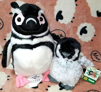 パタゴニア ぬいぐるみ ペンギン TRAINIART（トレニアート）【公式】 | 大人気Suicaのペンギン