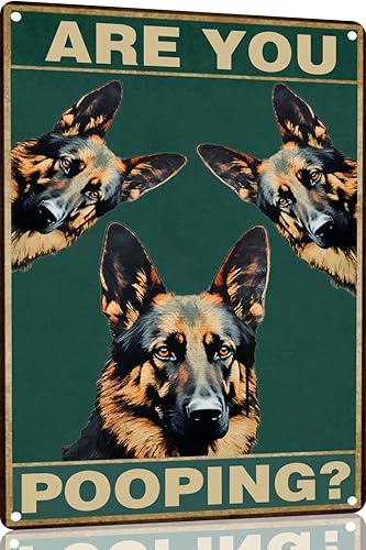 Vista 24 de Bichon Frise Dog - Cartel de 12 x 16 pulgadas con texto en inglés "Are You Pooping" para decoración de baño, póster de metal para perro amante