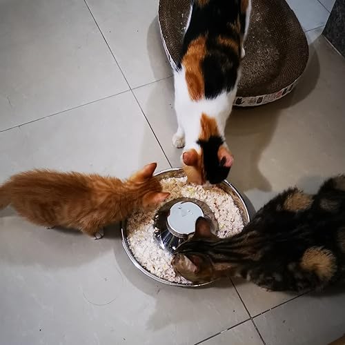 Miniatura 5 de Cuencos para perros de alimentación lenta, cuencos de acero inoxidable para cachorros, divertido cuenco para detener la hinchazón para comedores