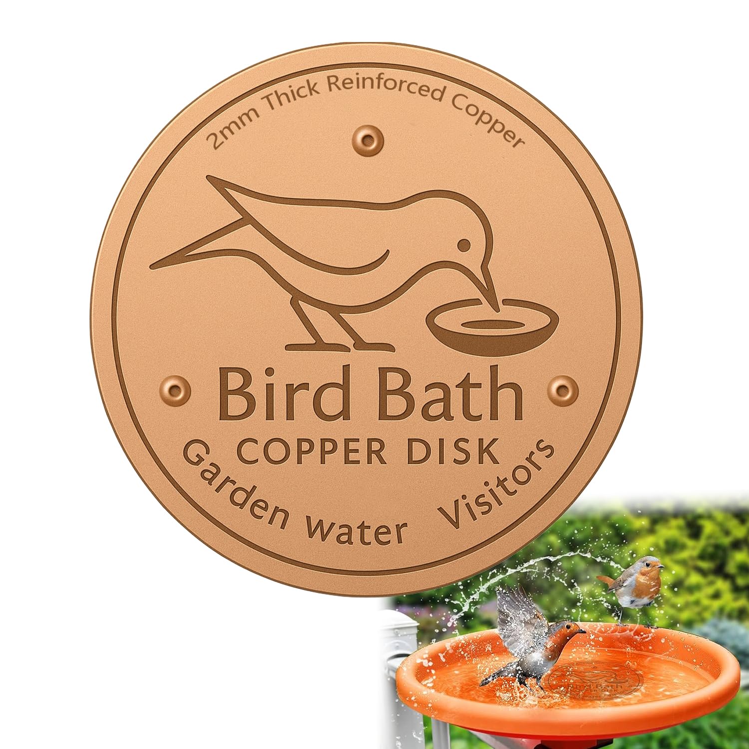 FIGCY 99.99% Pure Copper Bird Bath Disc with Bird Drinking Design, Chemical-Free Water Purification Disk for Outdoor Bird Baths, Bowls, and Fountains
