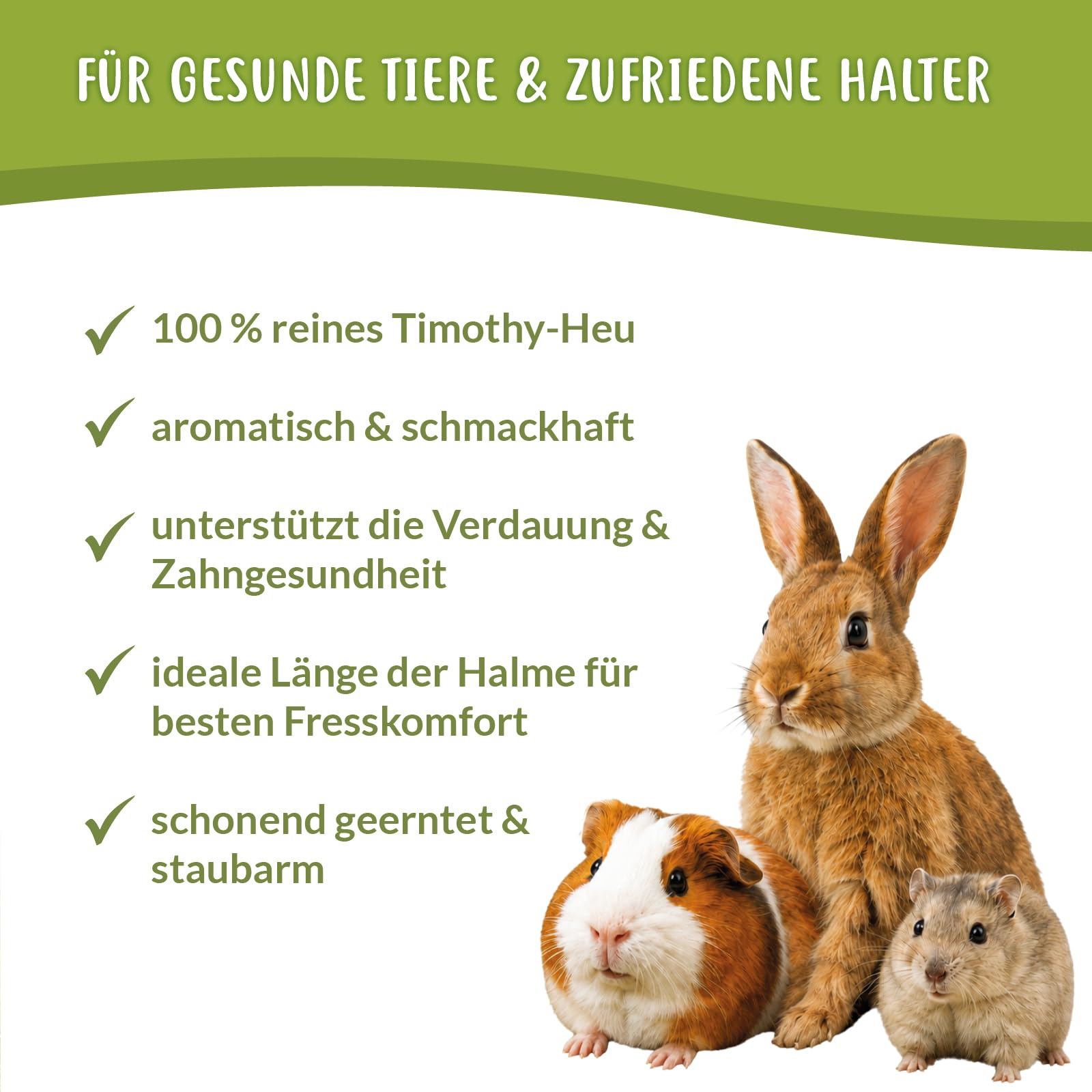 Timothy Heu 15 kg (10x 1,5 kg) – Premium Lieschgras aus Kanada – strukturreiches, staubarmes Raufutter für Kaninchen & Meerschweinchen – locker verpackt