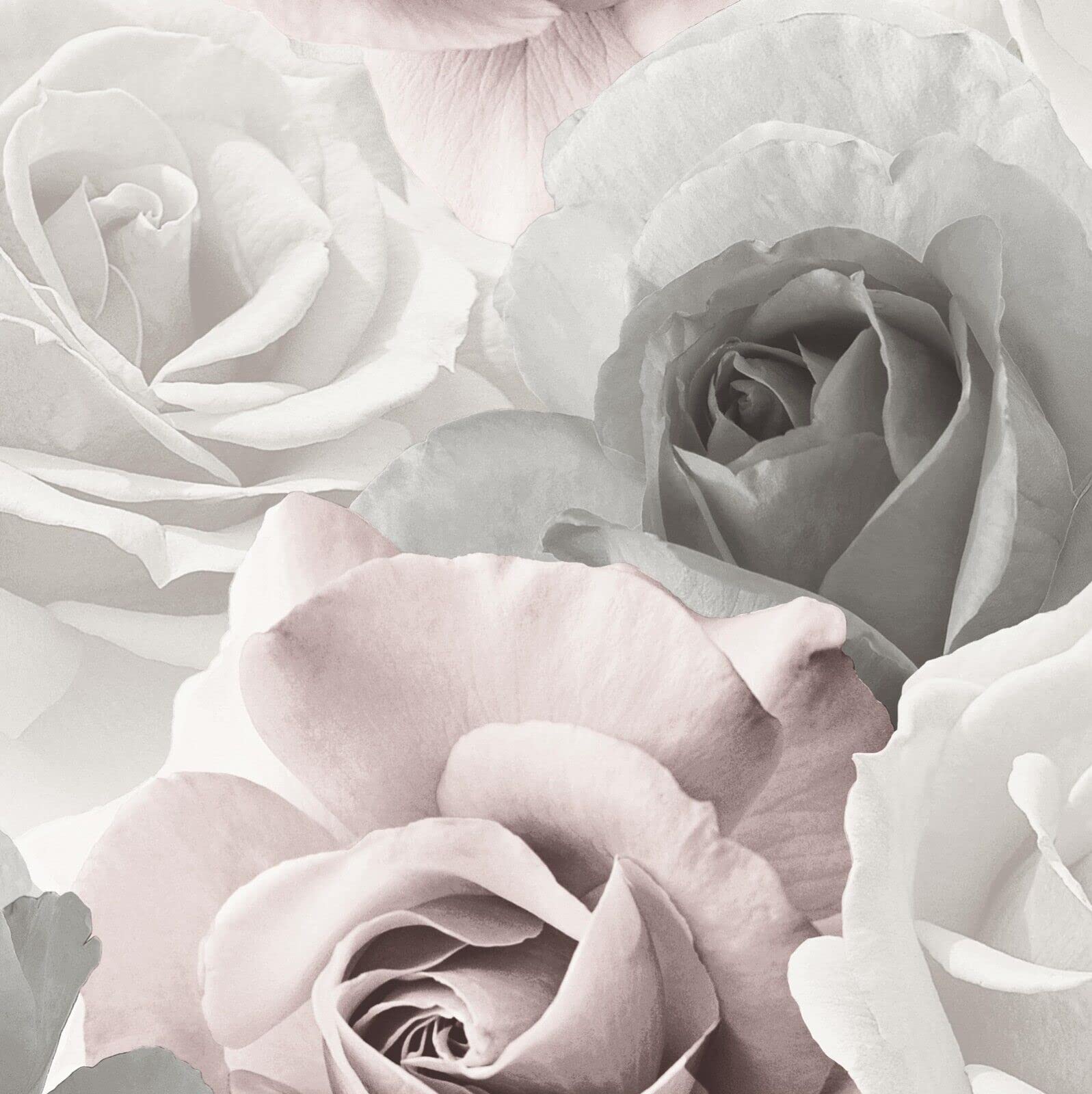 Sophie Lauren Pink Grey White Floral Wallpaper - Paste-the-Paper with Roses and Flowers Design - Solid, Thick, Heavy-Duty for Living Room