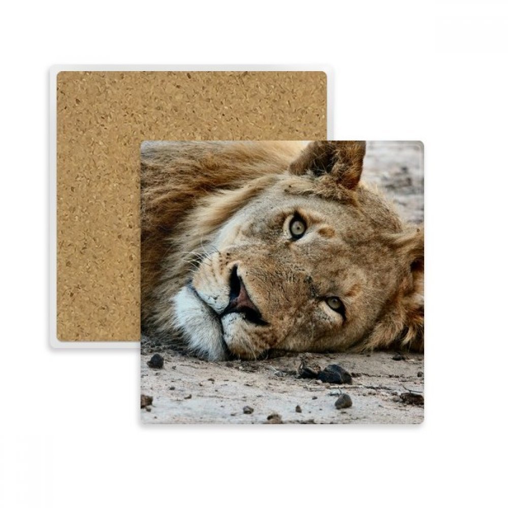 Dessous de verre sauvage motif lion pour sublimer votre apéritif au salon