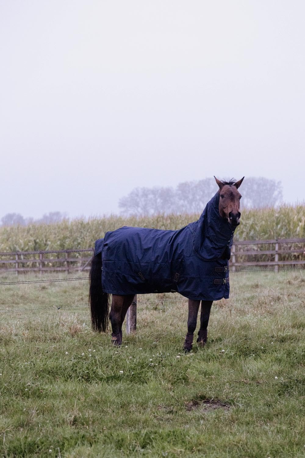 Turnout Rug - Manta impermeable para caballo (0 g, tamaño: 125), color azul marino