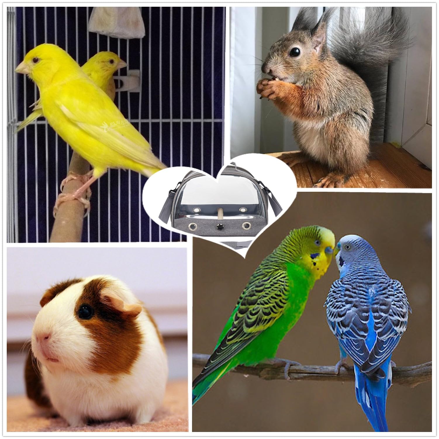 Trasportino da viaggio per uccelli con posatoio e vassoio, traspirante, pieghevole, per piccoli uccelli, pappagalli, parrocchetti, piccoli animali, per viaggi, escursioni