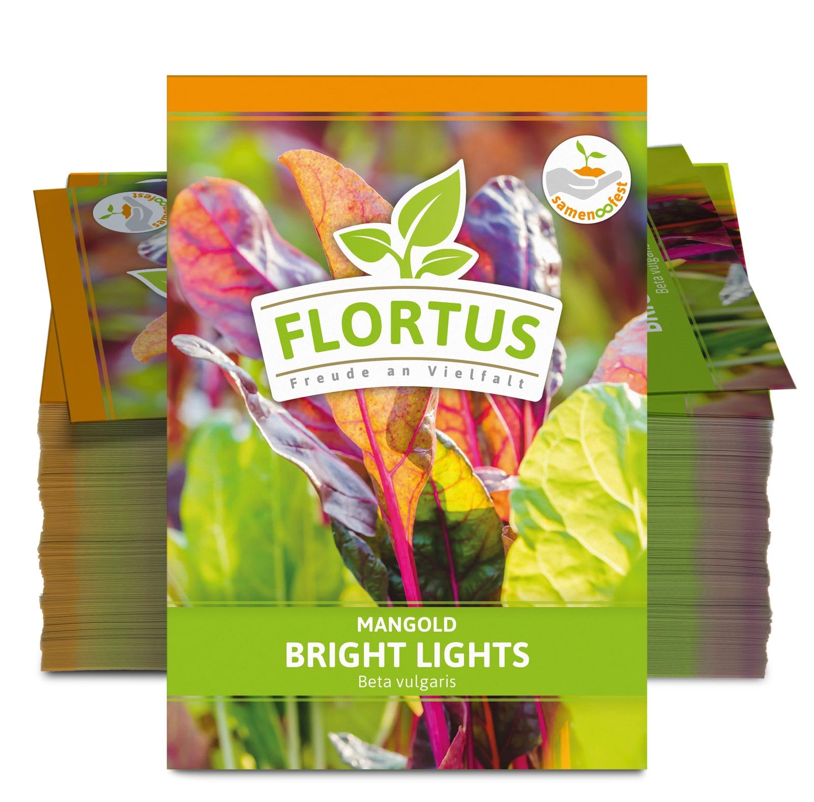 FLORTUS 2000-0482-100x Mangold Bright Lights (100 Stück) (Mangoldsamen)