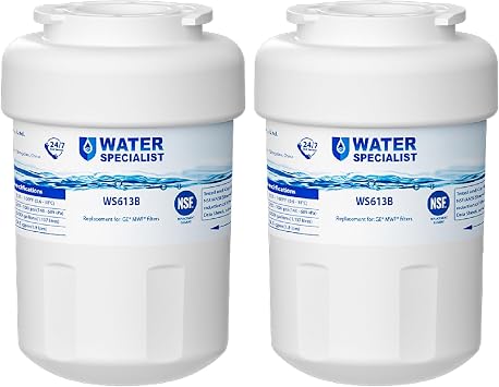 Waterspecialist WS613B Water Filter, Replacement for GE MWF, 2 Pack