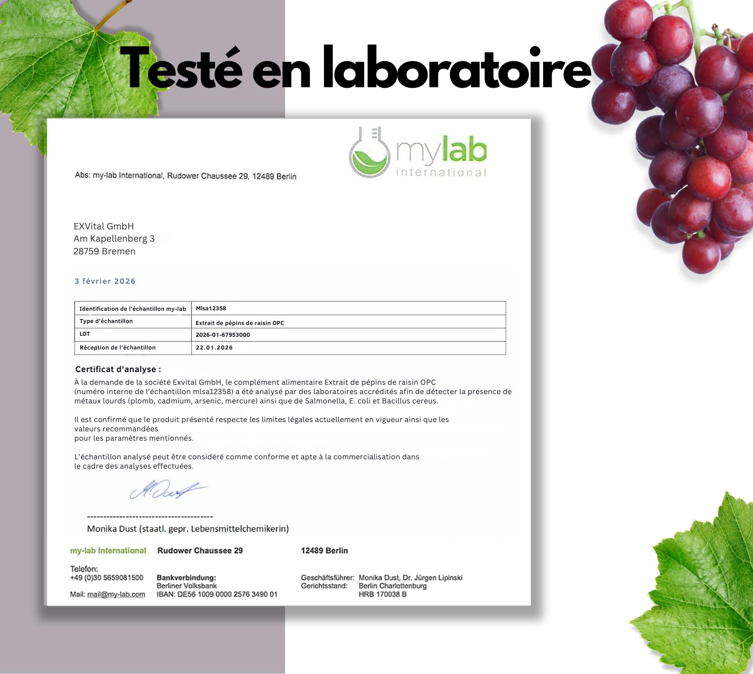 EXVital® OPC Extrait de pépins de raisin, 240 gélules, hautement dosé avec 500 mg par gélule, issu de raisins français, testé en laboratoire et vegan
