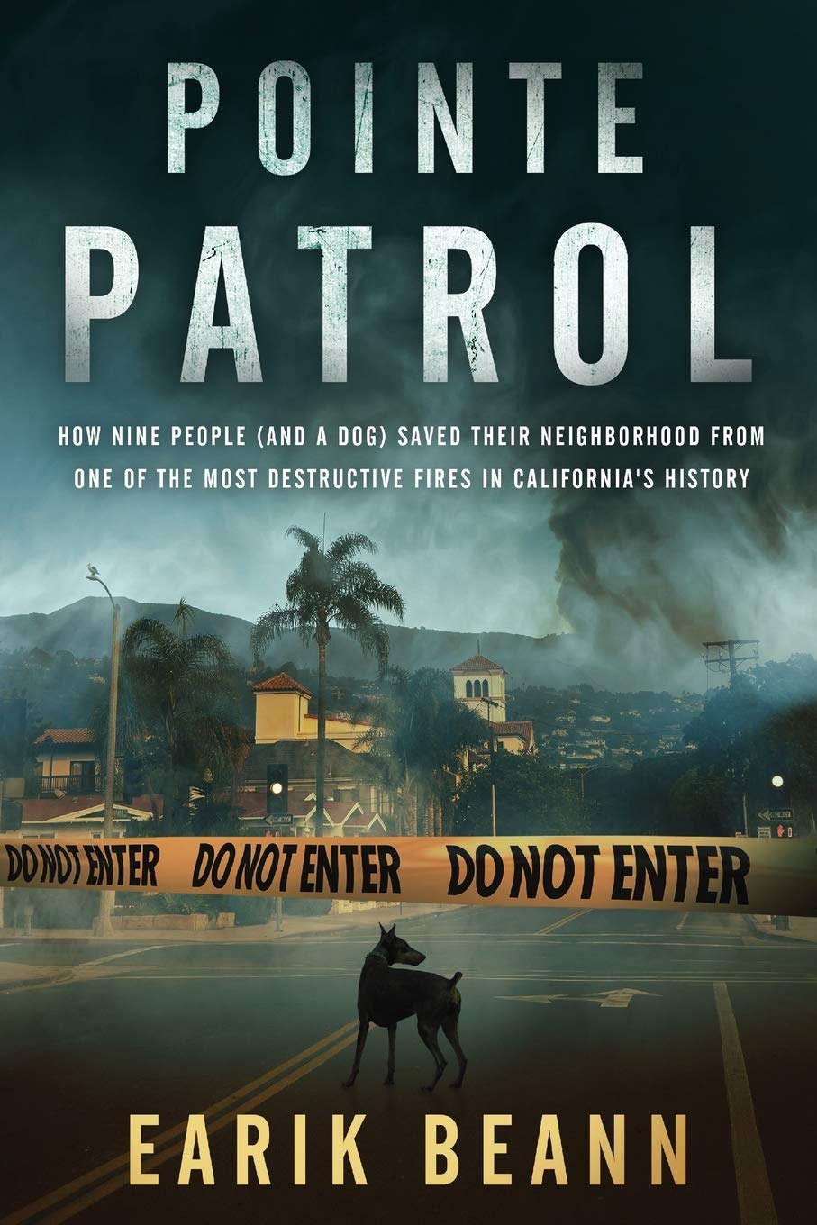 Buy Pointe Patrol: How nine people (and a dog) saved their neighborhood from one of the most destructive fires in California's history — BookShops.in
