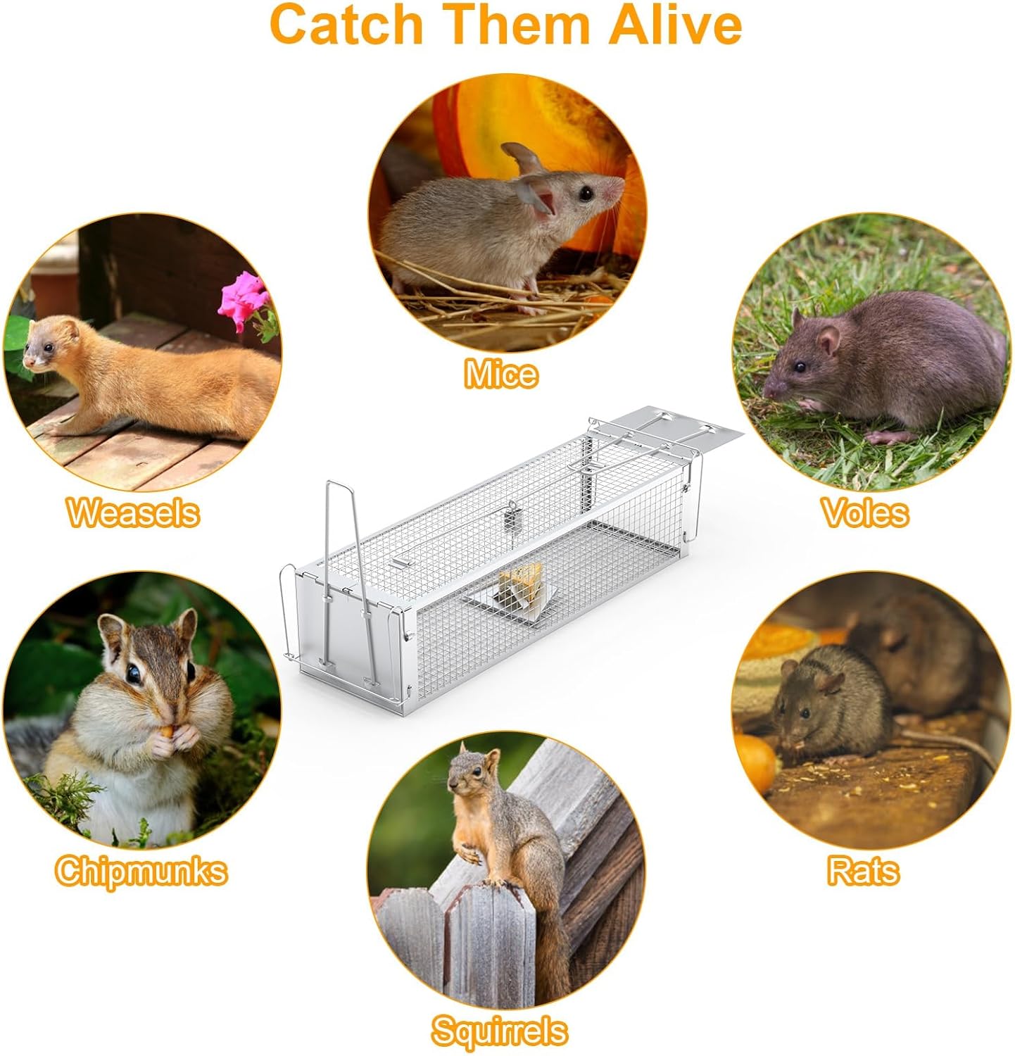 2-Door Humane Rat Cage Trap, Metal Live Animal Trap Cage, Small Humane Catch Release Rodent Cages, Upgraded Indoor & Outdoor Live Traps for Squirrels, Mouse, Rats, Mice - 16.6x6.1x4.33 Inches