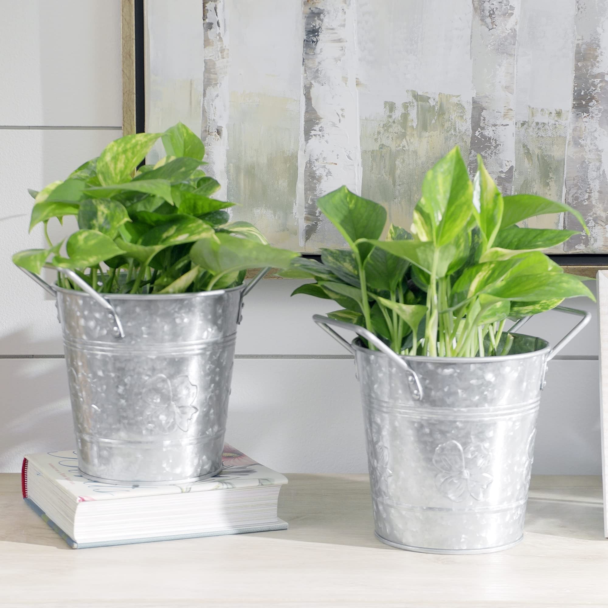 Amazon.co.jp: WH Walford Home Décor - 亜鉛メッキメタル植木鉢