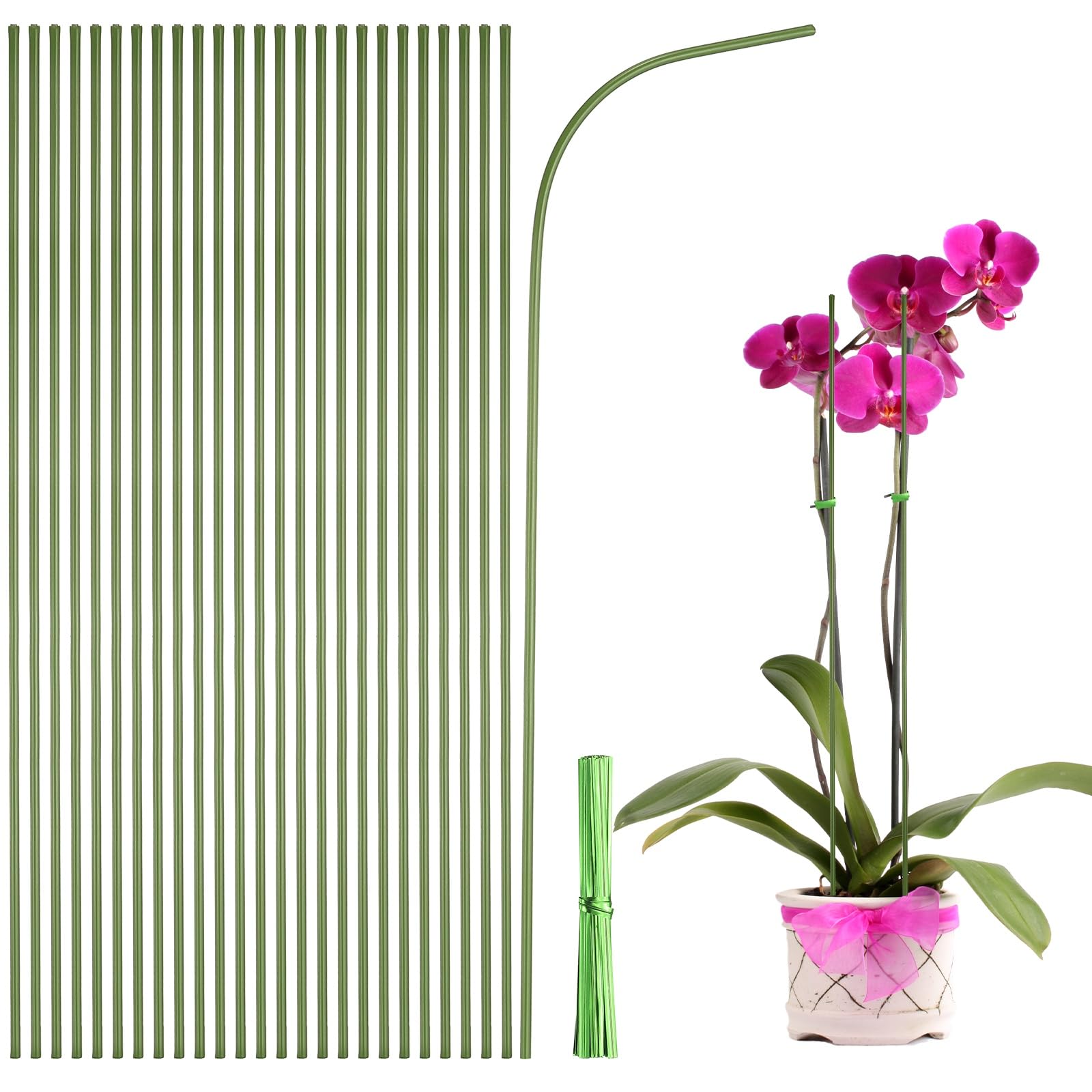 Tuteurs pour plantes de salon et orchidées avec attaches de fixation pour une décoration florale