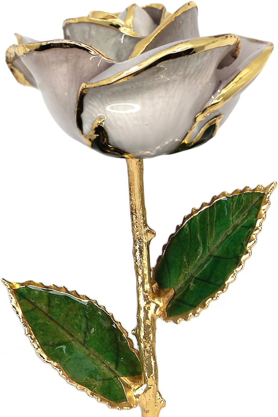 Pearl White 24k Gold Rose - Real Rose Dipped in Gold