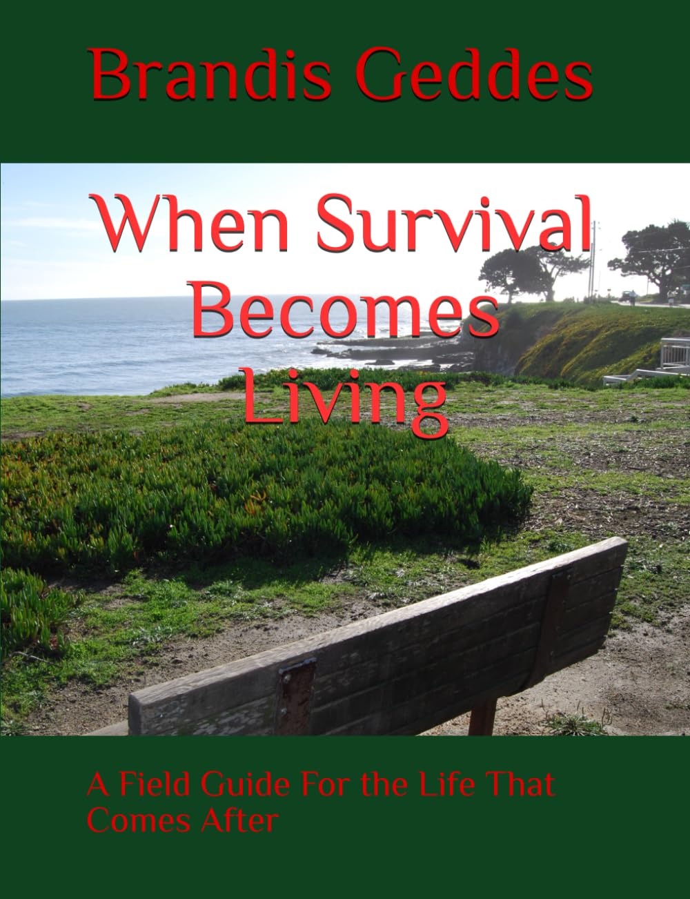 When Survival Becomes Living: A Field Guide For the Life That Comes After