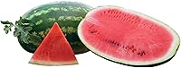Burpee Organic Allsweet Watermelon Seeds - 100 Count, Large 25-30 lb Sweet Red Flesh, Disease-Resistant Heirloom Variety