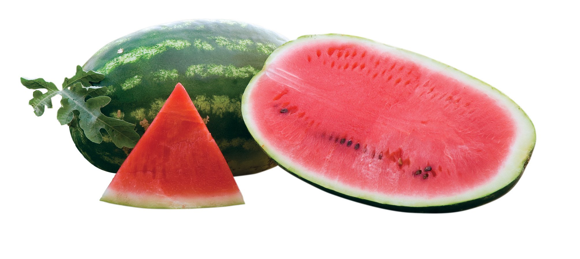 Burpee Allsweet (Organic) Watermelon Seeds 100 seeds