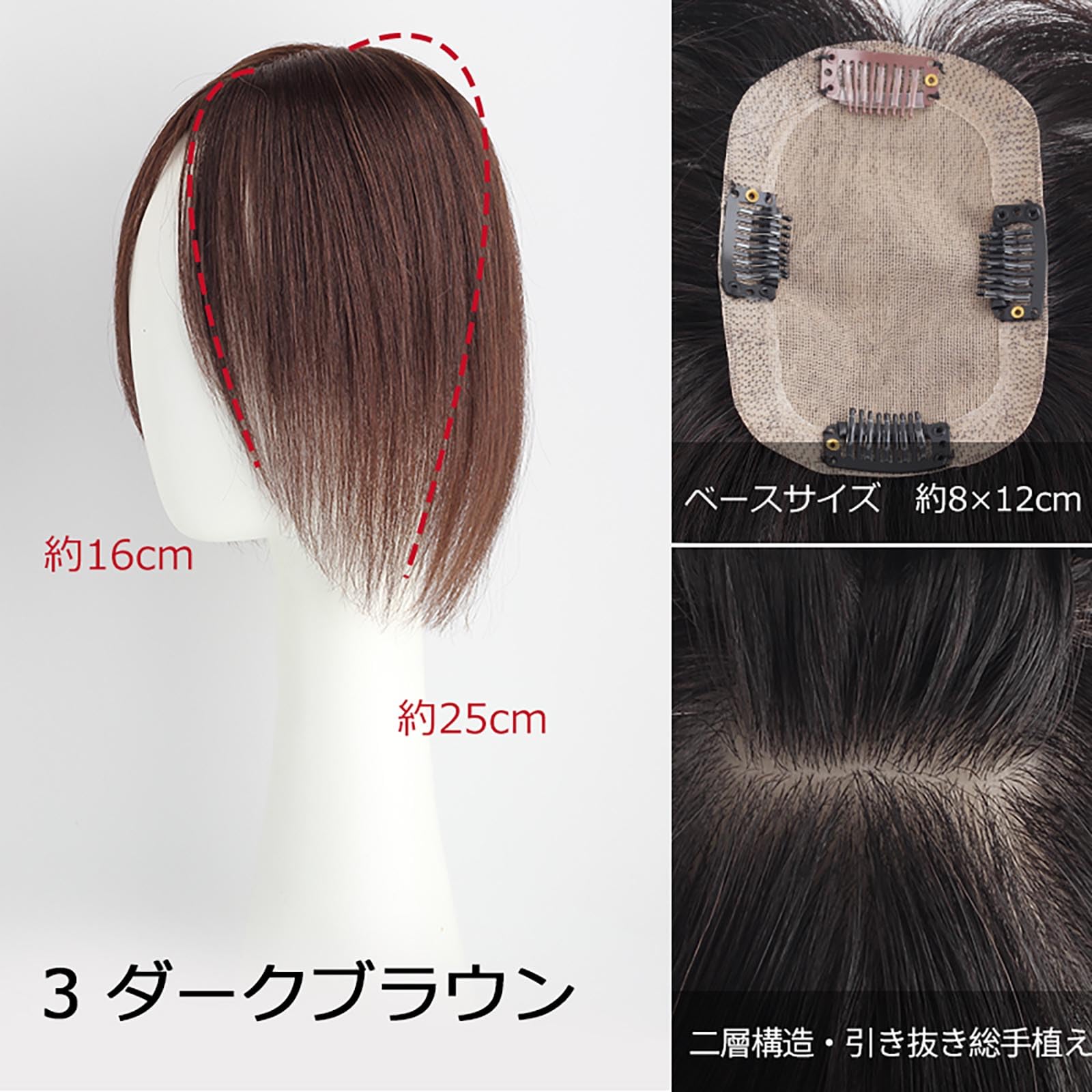 Amazon.co.jp: (私元気) 全国カット/返品OK【中大面積 8×12cm】自然 