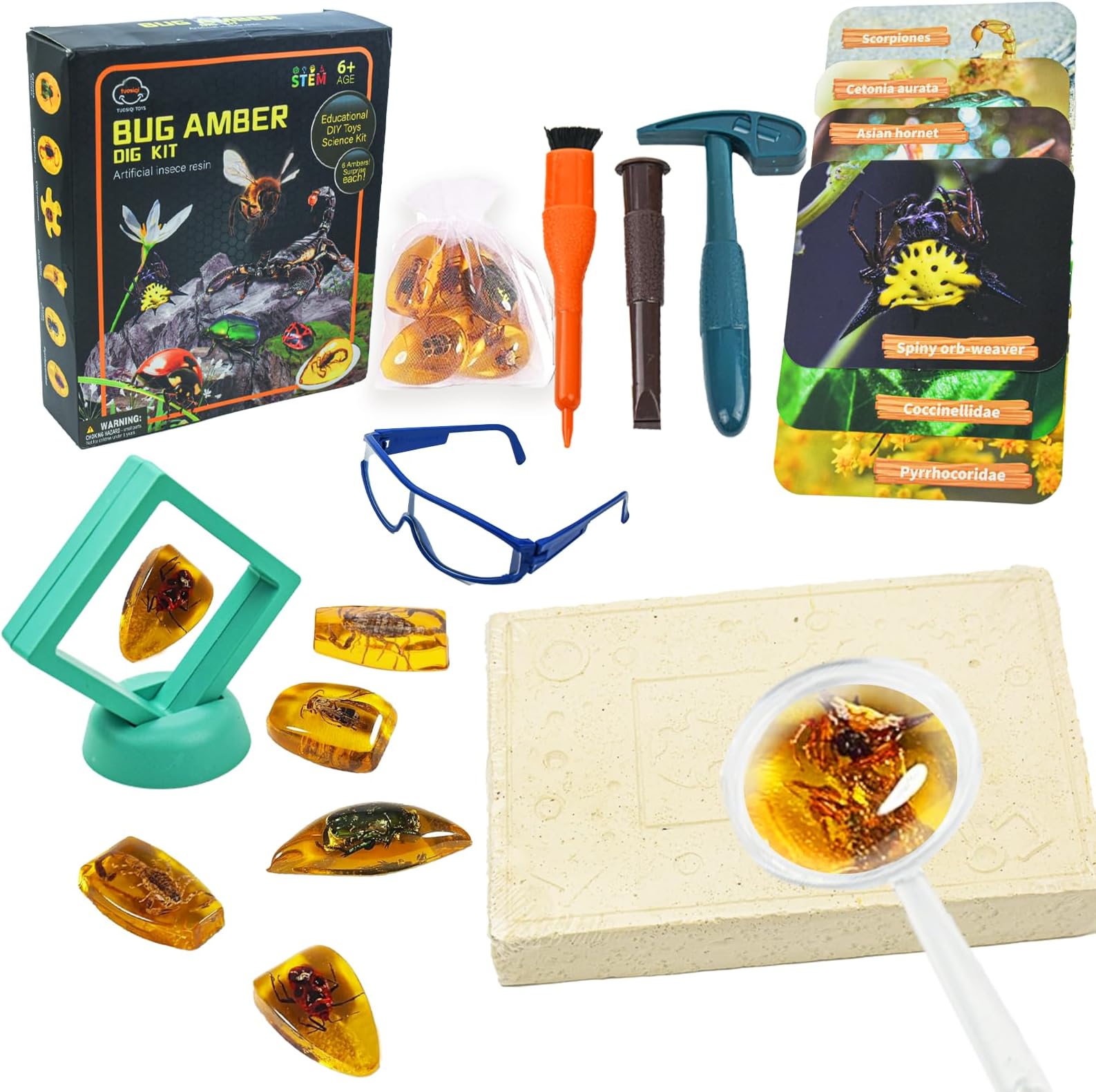 Kikuo Amber Gemstone Dig Kit, Insect Digging Kit Set For Kids, 6 Real Life Gems & Amber, Educational Toys Fossils Science Kit with glasses and display frame Gifts for 6+ Year Old Boys and Girls
