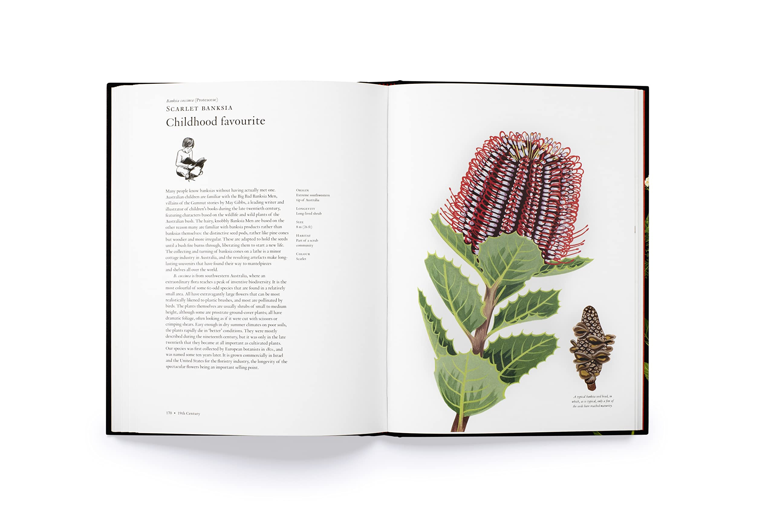 The Story of Flowers: And How They Changed the Way We Live - Image 9