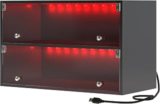 LED Shoe Storage Box, 2-Tier Black Wood Stackable Shoe Box with Clear Door and App Control, Display Sneakers Organizer Box with USB Interface and Music Playback