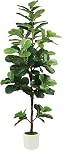 Figuier à feuilles de ficelle artificiel avec planteur blanc & Faux Moss, usine de plancher réaliste Faux Ficus Lyrata pour le décor intérieur du bureau, cadeau de chauffage domestique (6ft)