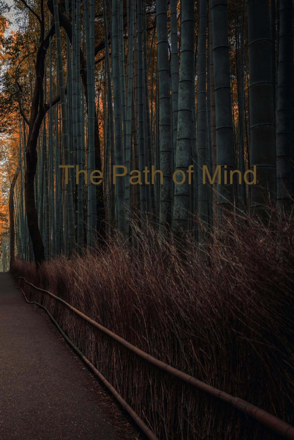 The Path of Mind