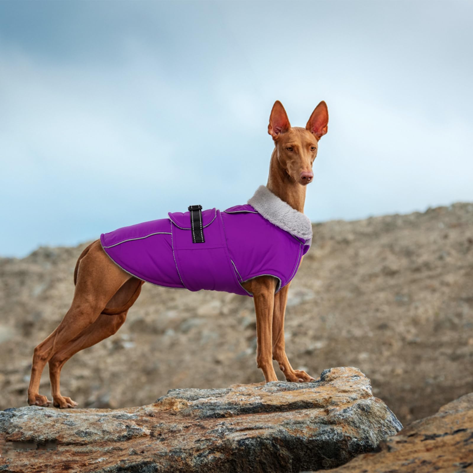 Lelepet Abrigos y chaquetas cálidos para perros, abrigo de invierno impermeable para clima frío, chaqueta acolchada reflectante para perro, abrigo para mascotas con forro polar con agujero para arnés