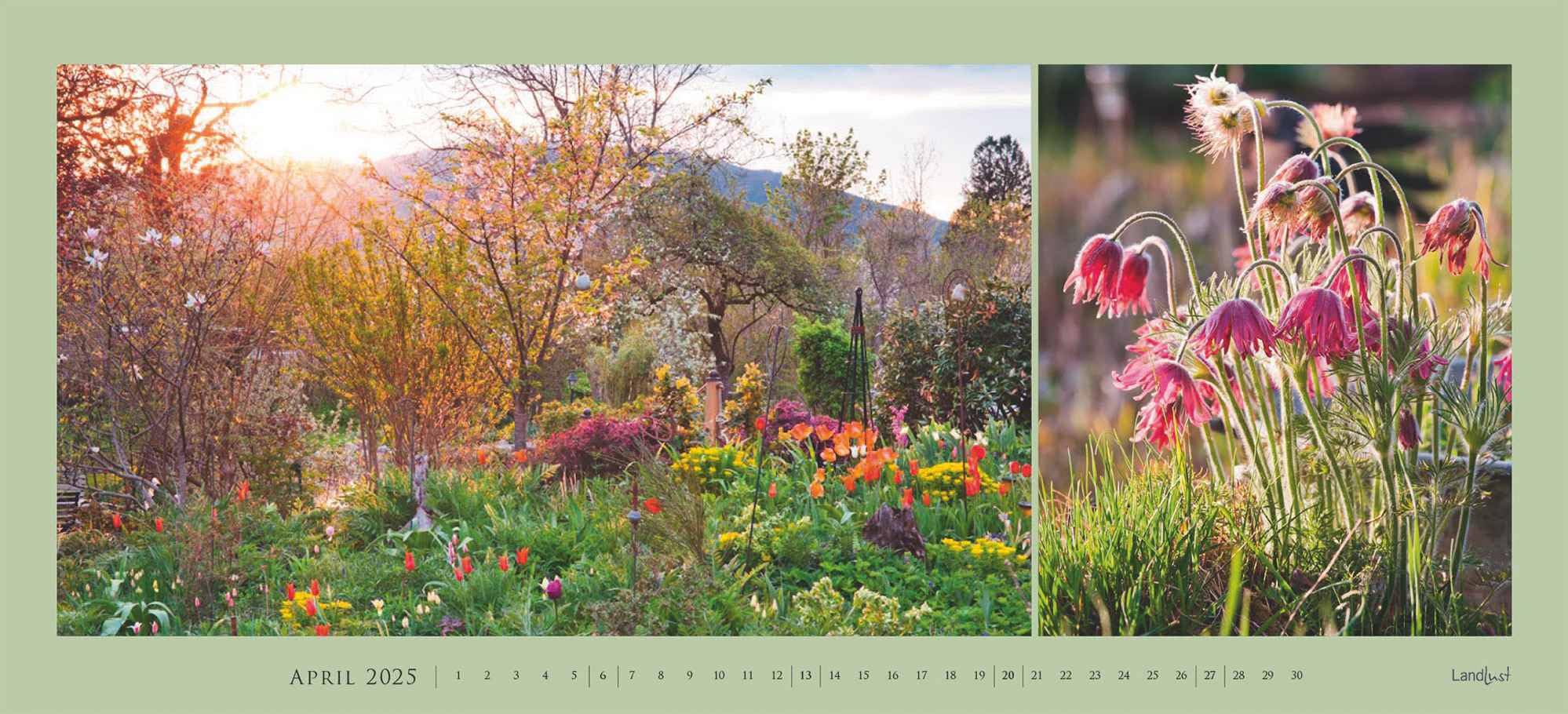 Landlust - Garten-Kontraste Panorama 2025, 110x50cm, Wandkalender mit Garten-Motiven im Großformat, Schönheit des Gartens in vielen Facetten, Spiralbindung, deutsches Kalendarium
