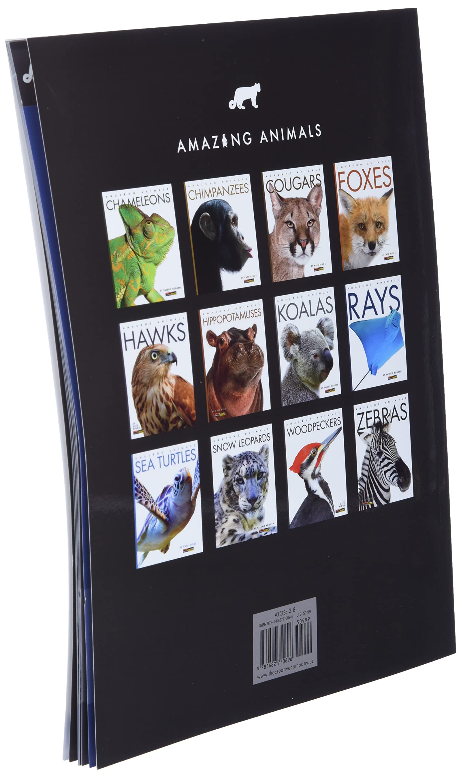 Snow Leopards (Amazing Animals)