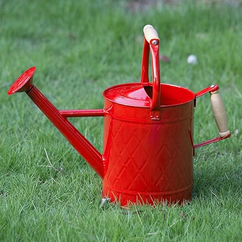 HORTICAN - Recipiente para regar plantas de interior y exterior, galvanizada, estilo moderno con asa y rosetón