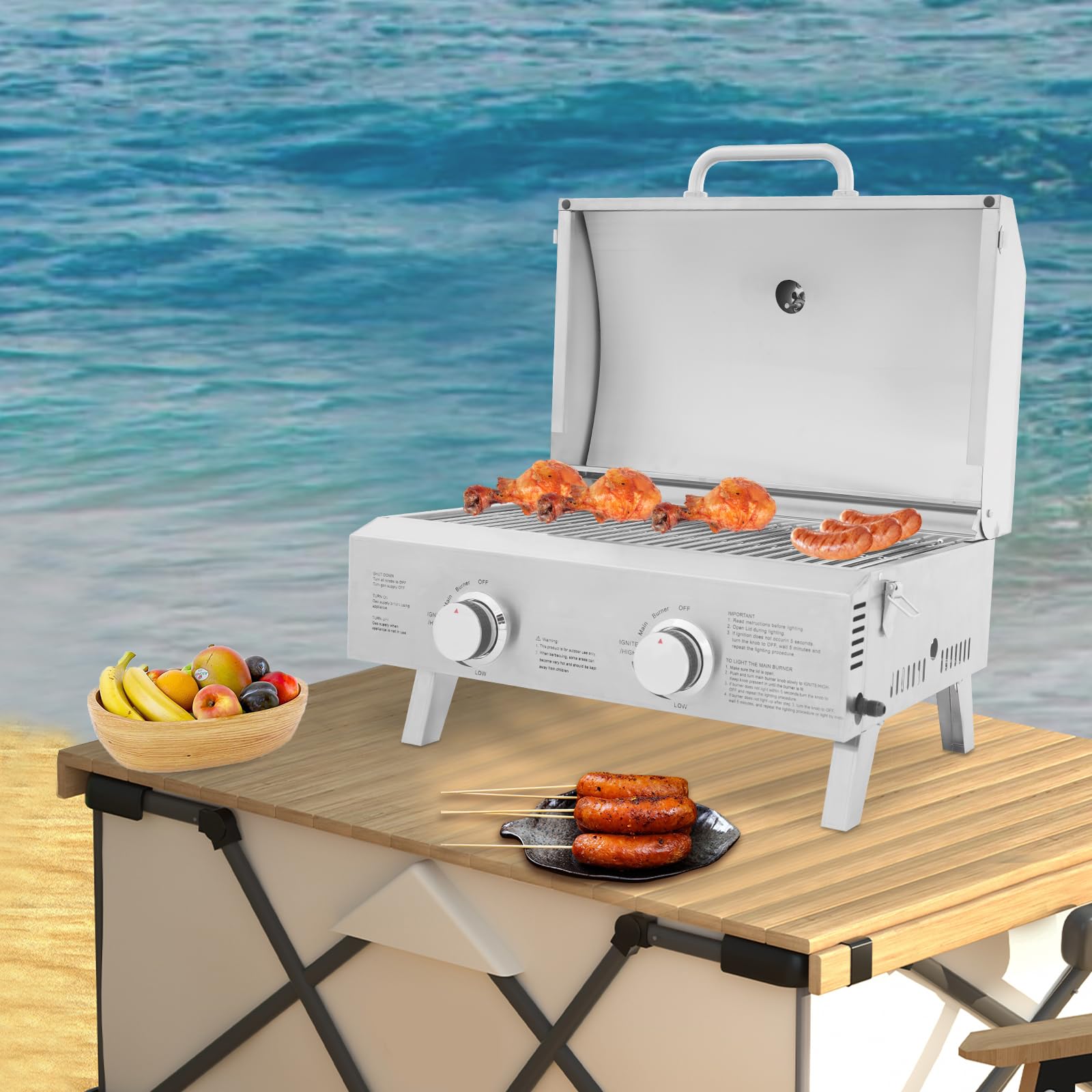 Barbecue à gaz portable à 2 brûleurs - Barbecue à gaz de table avec grille de cuisson - Barbecue à gaz en acier inoxydable - Barbecue de camping en plein air - Plaque de cuisson avec grille de cuisson