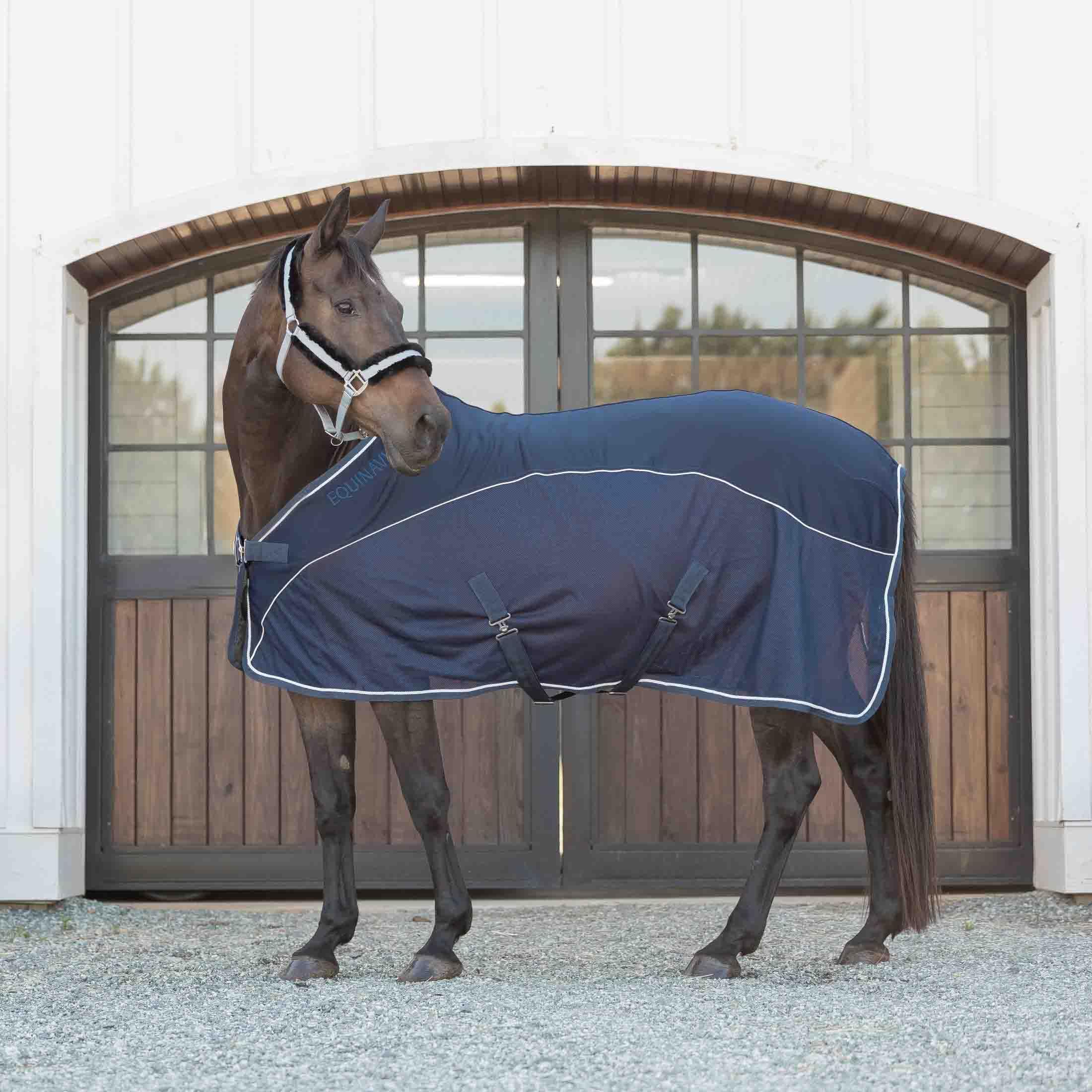 Equinavia Valkyrie - Cavezza per cavalli in pile ultra resistente, regolabile, imbottita, con fettuccia in nylon, grigio ardesia, nero, cavallo
