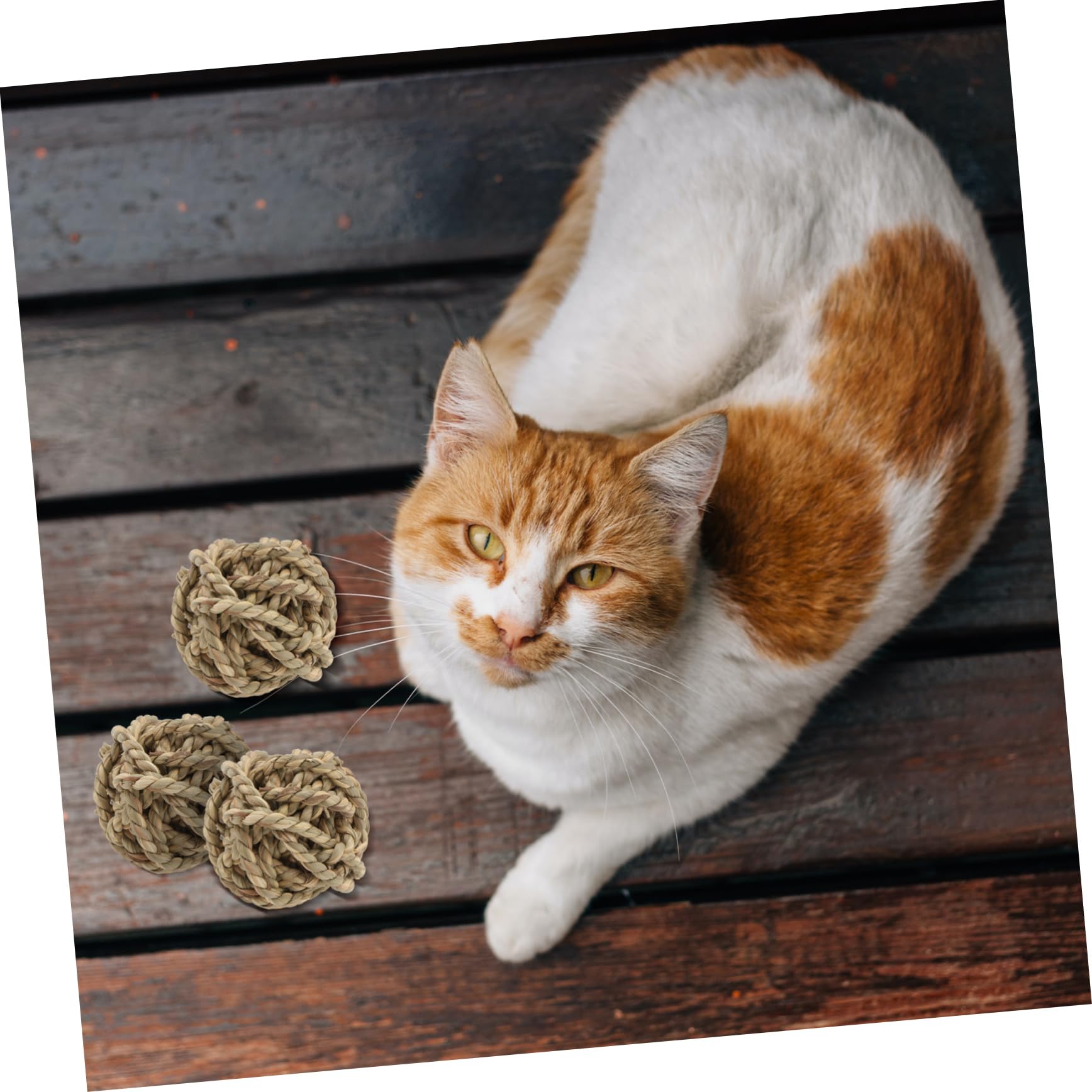 SUPVOX 9pezzi Palline Rattan Per Domestici Giocattoli Masticabili Per Conigli Porcellini e Piccole Creature Sicuri e Completamente e La Masticazione