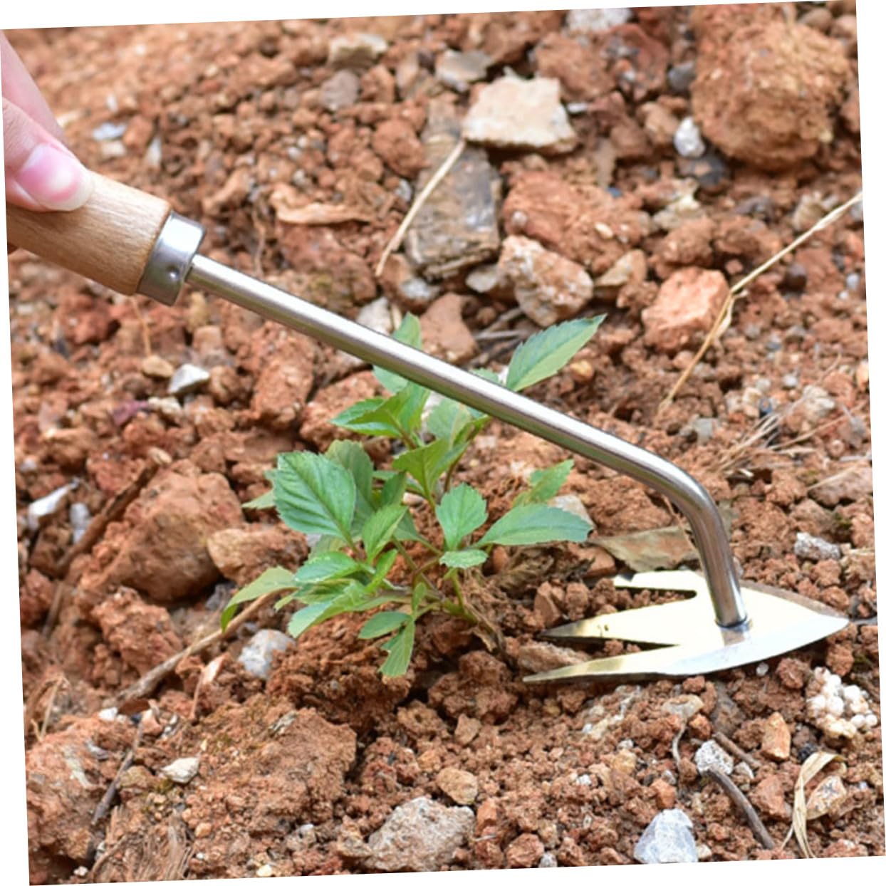 BESTonZON 4 Pezzi di Sarchiatore per Attrezzi da Giardino Rimozione Manuale Attrezzo per Diserbo Attrezzo per Giardinaggio Attrezzo per La Rimozione di Erbacce Attrezzo