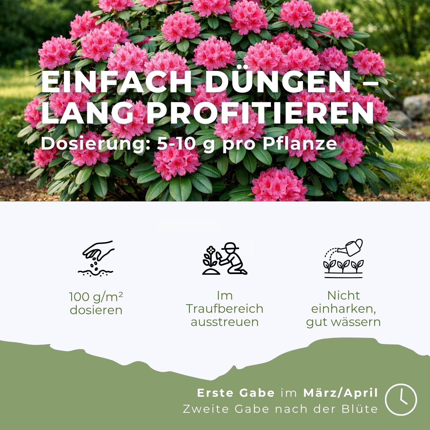 Flora Boost PRO Rhododendron Dünger Langzeitwirkung 5 kg