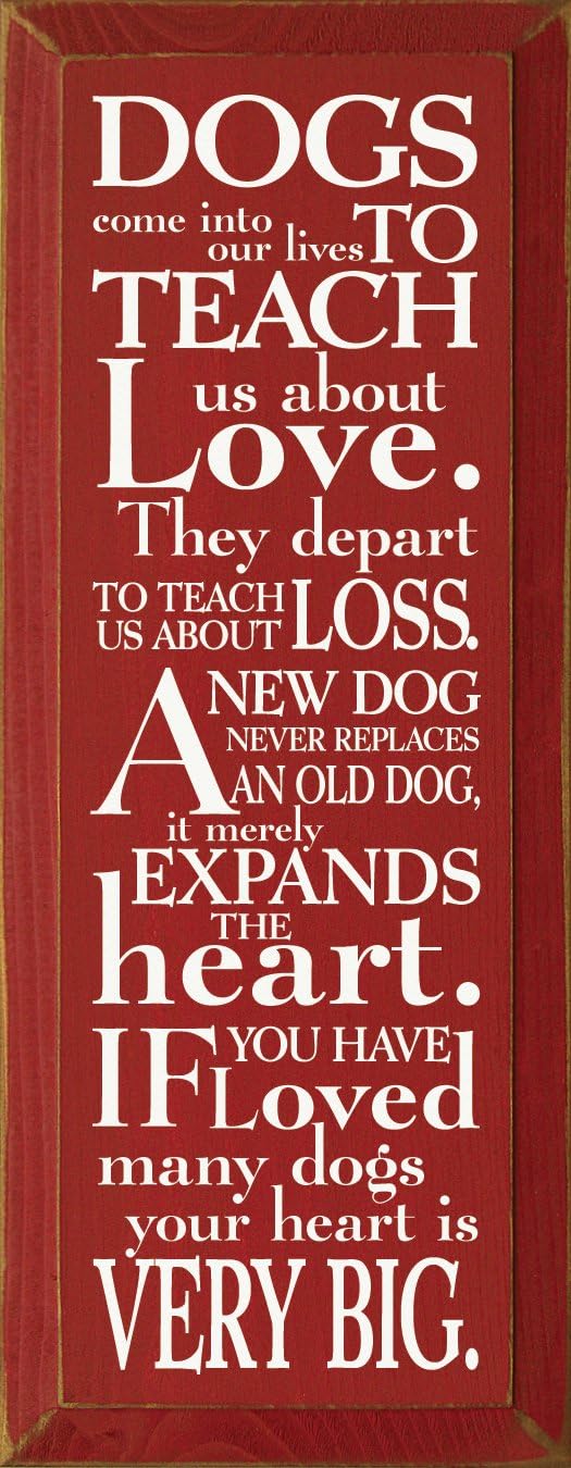 amazon-sawdust-city-wooden-sign-dogs-come-into-our-lives-to-teach