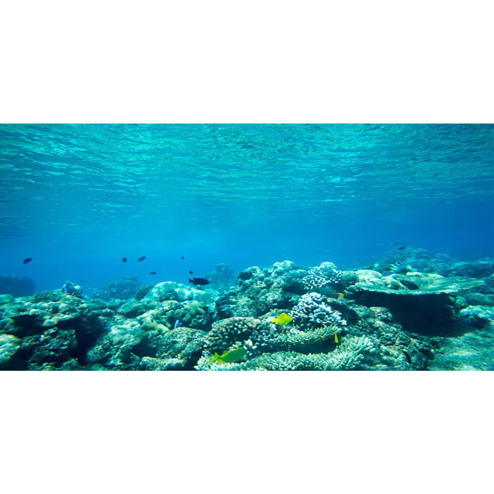 MIRRORANG 120x50cm Aquarium Background Aquatic Plant River Fish Tank Poster Backdrop Vinyl