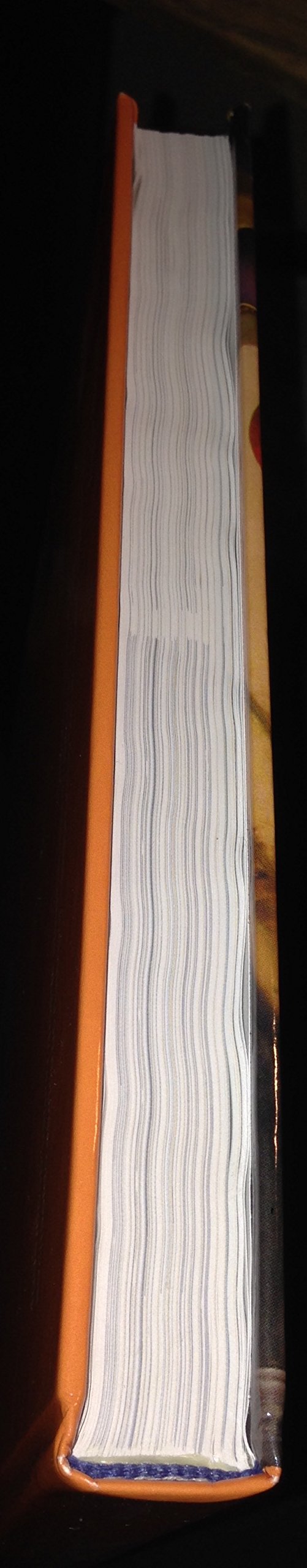 The Cultural Landscape An Introduction to Human Geography AP Edition by James M. Rubenstein (2014-05-03) - Image 4