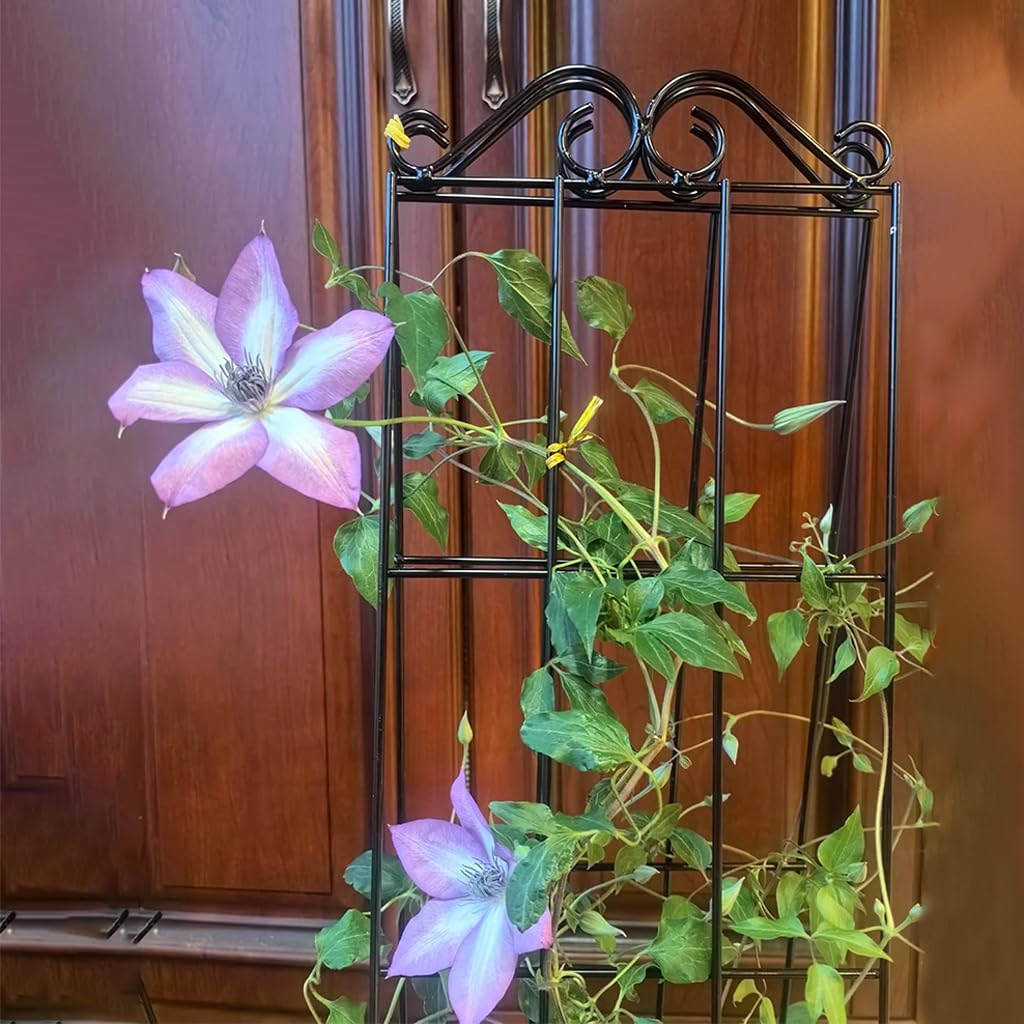 Metal Plant Trellis - Support Climbing Vines -7