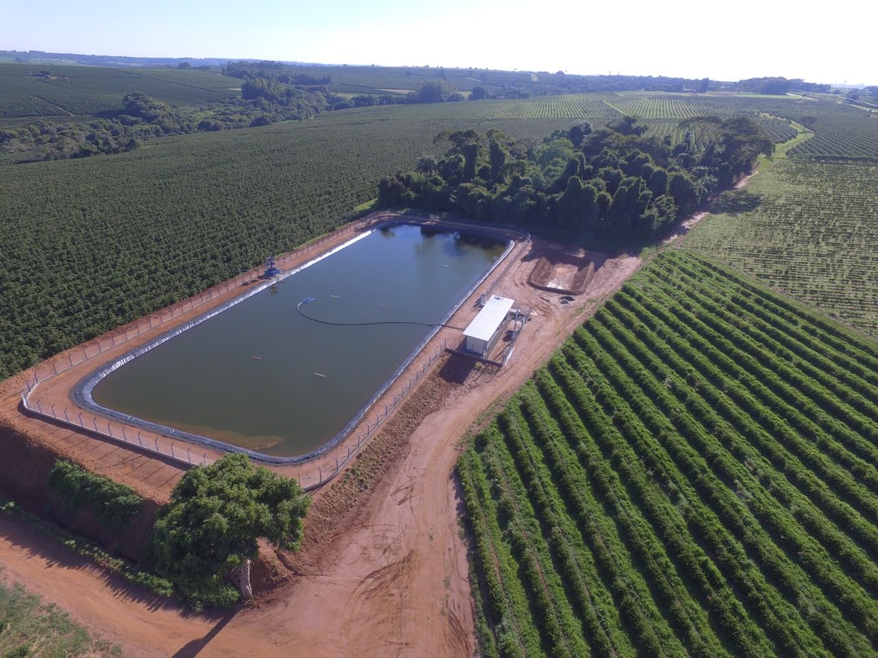 Black Tucano Specialty Coffee - Brazilian Ground Medium Roast Coffee - Organic Ground - 8.8 Ounces 250 Gr