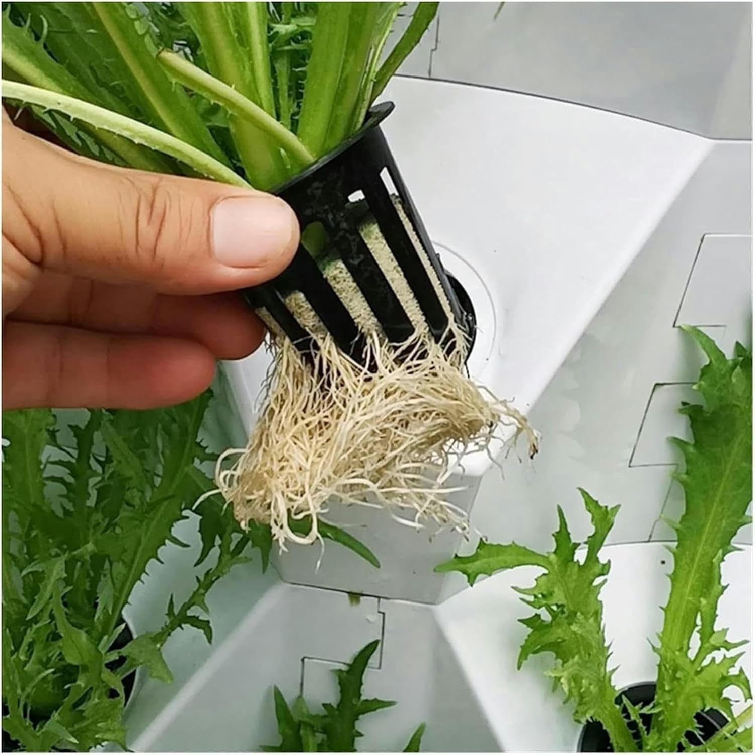 Hydroponic Grow Kit, Hydroponics Growing System Smart Hydroponics Vertical Garden Grow Kit Pineapple Tower Indoor Outdoor for Planting Vegetables Fruits,Hydroponic Growing Kits /1pc