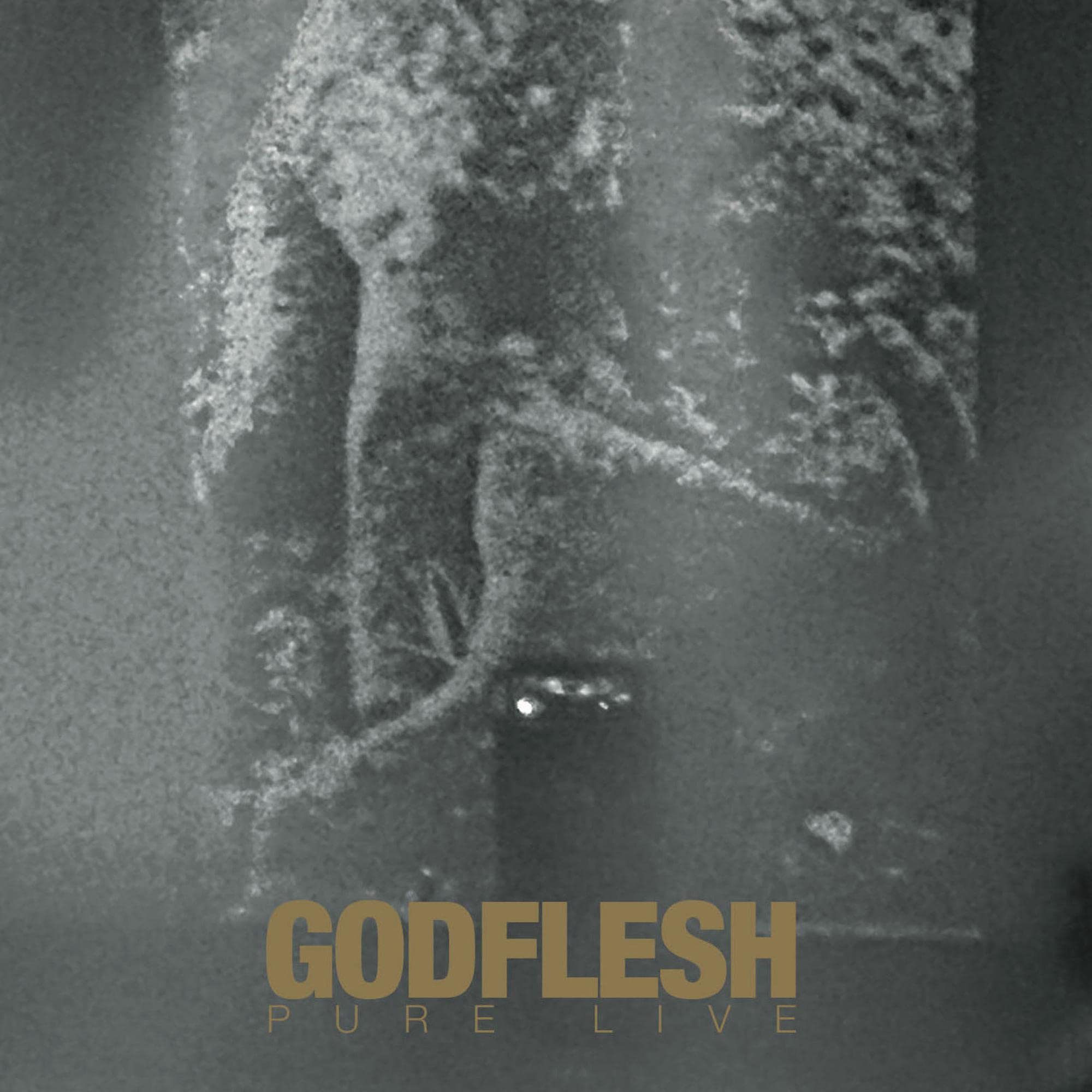 GODFLESH - Pure: Live - Vinyl (gatefold gold splattered vinyl 2xLP)