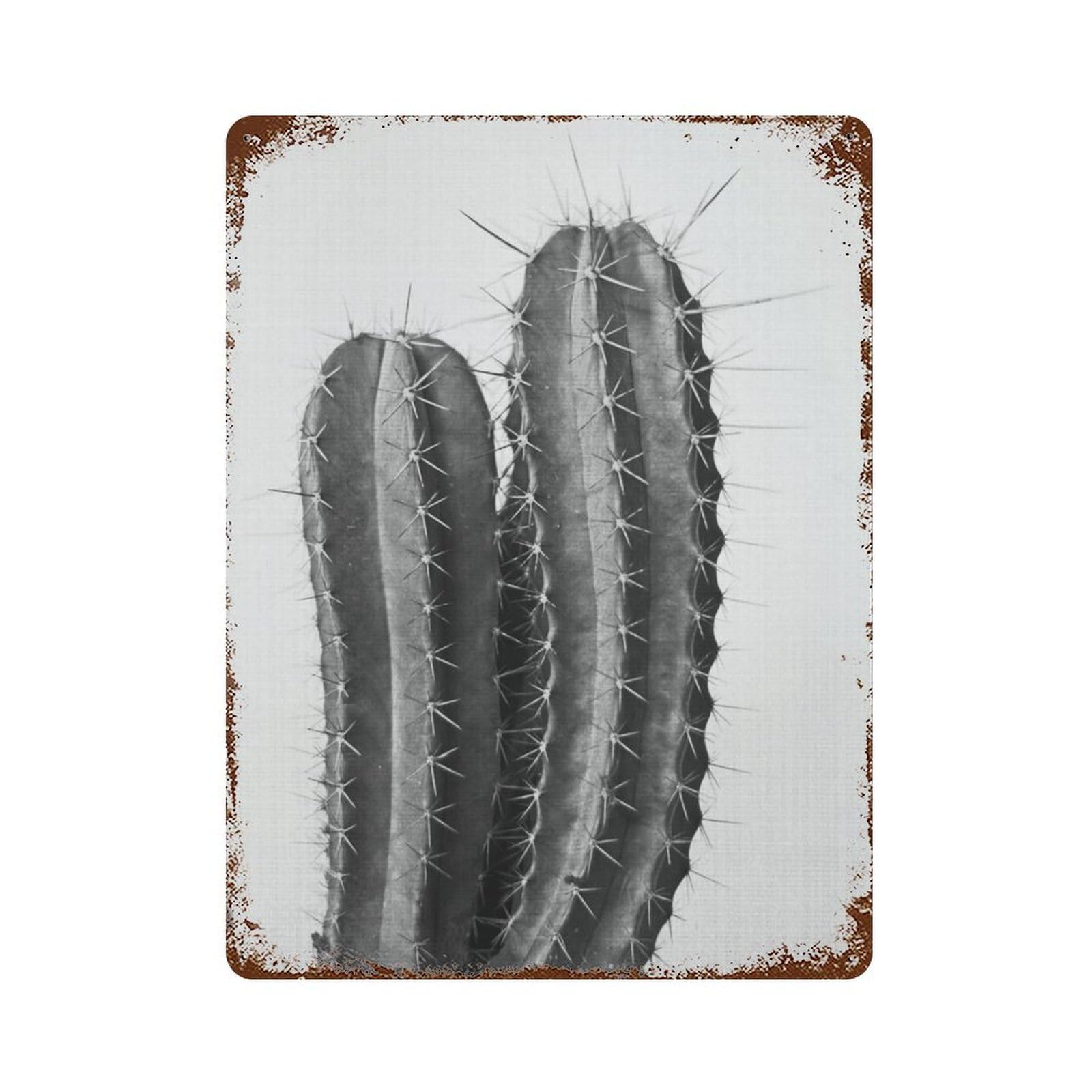xiaoxiaoshen Cactus Prints, Botanical Photography, Cacti, Gallery, Succulents,(6) Wall Decor Art Metal Tin Poster Modern Home Decor Art Home Bar Shop Decorations Vintage Sign 40x30cm