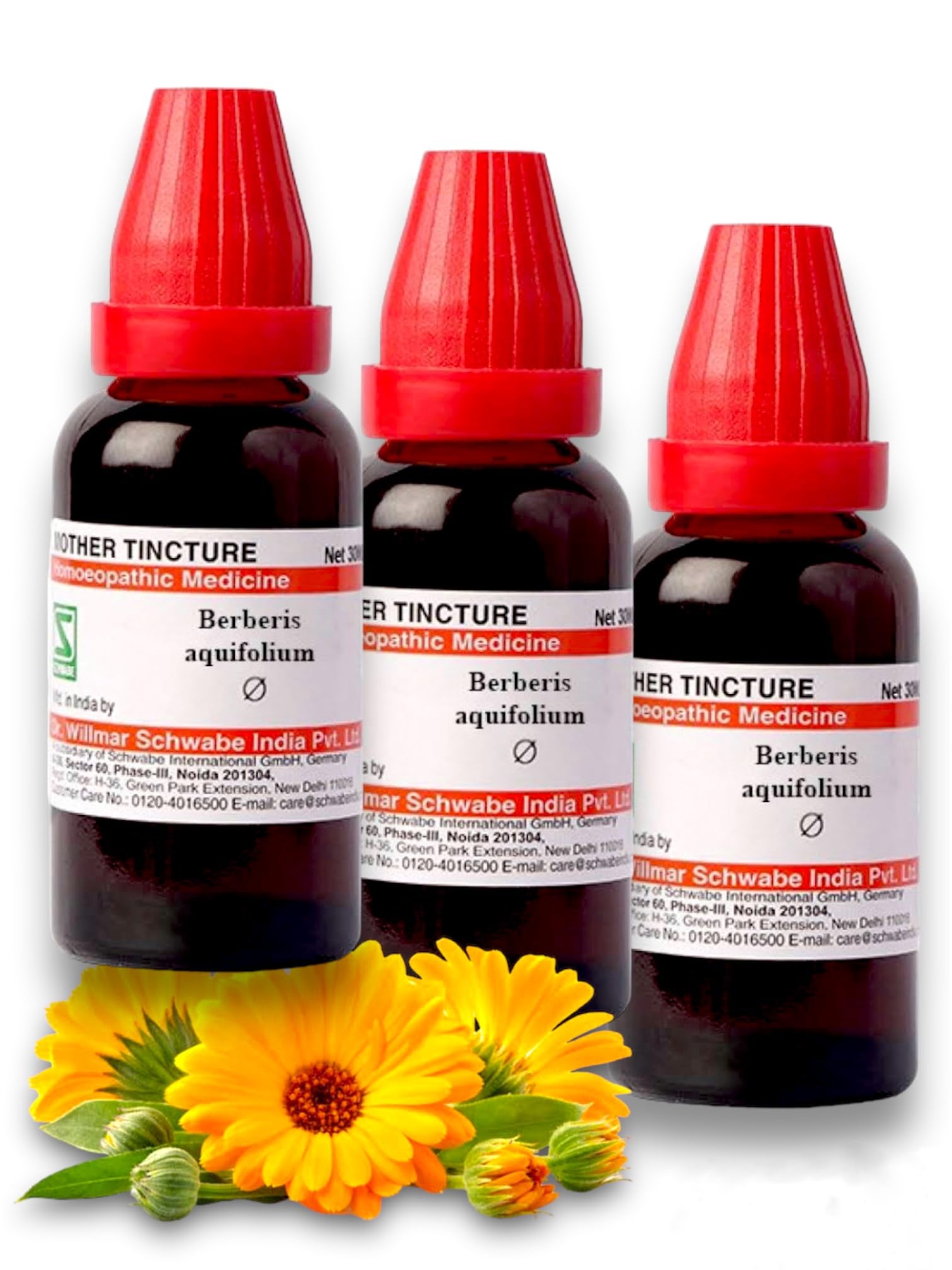 Dr Willmar Schwabe Berberis Aquifolium Mother Tincture Q Drop - 30ml - Pack Of 2 Bottles