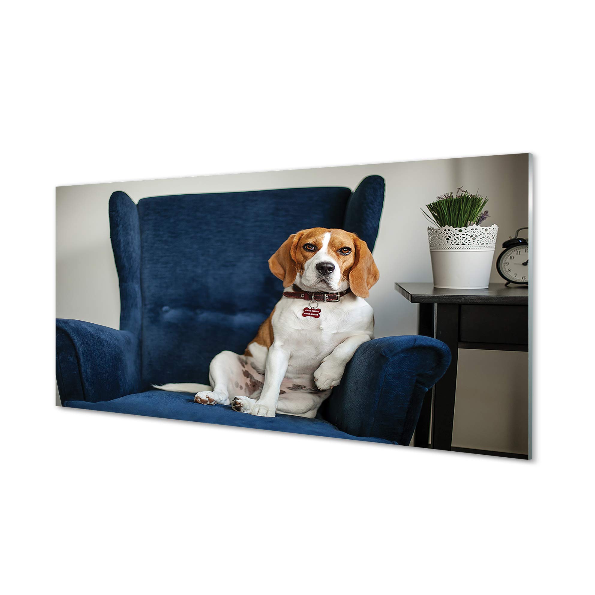 Dosseret en verre trempé imprimé chien pour décorer le mur d'une chambre ou d'un salon