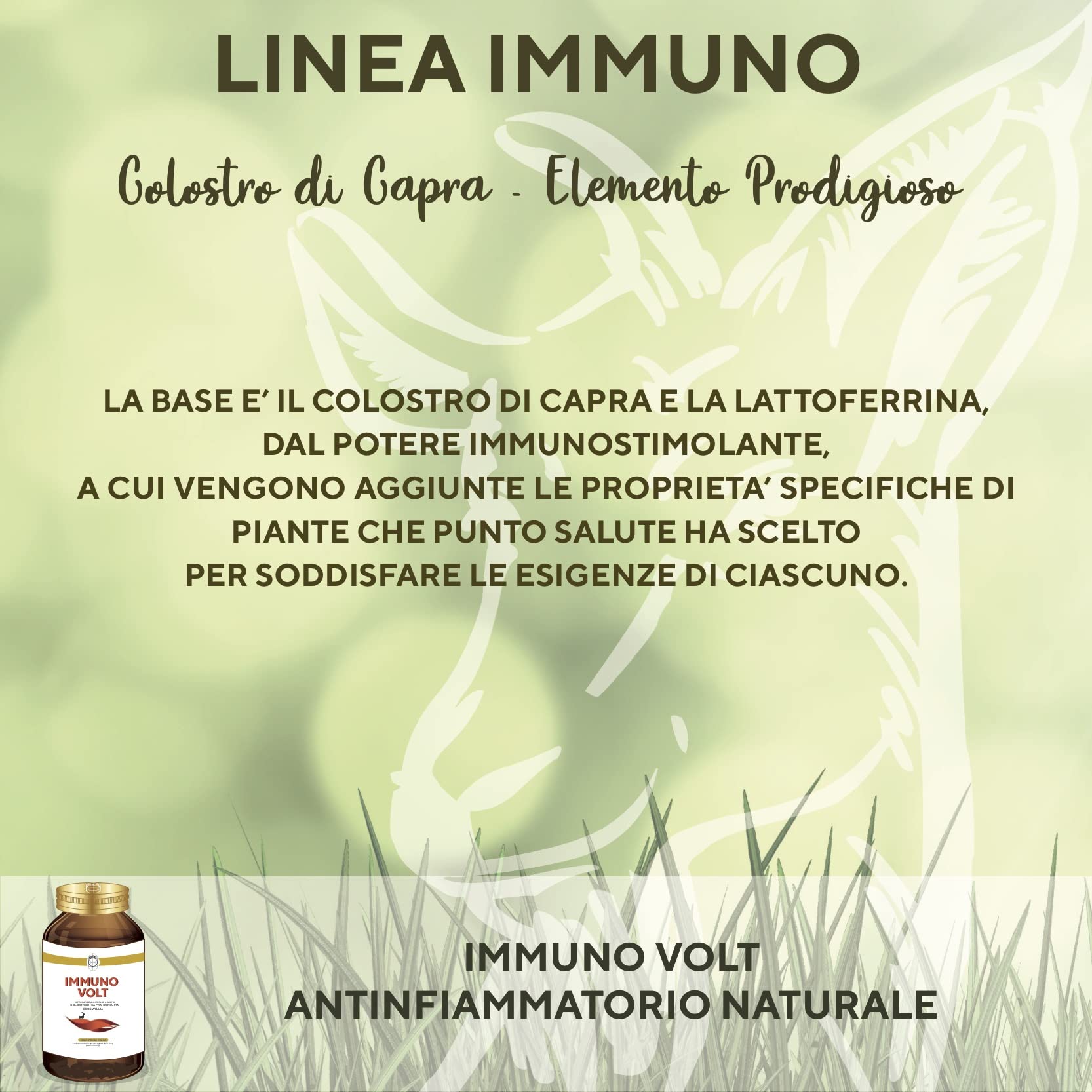 SEB Immuno Volt - Integratore alimentare naturale per il sostegno della funzionalità articolare. A base di Colostro di Capra, Lattoferrina, Curcuma, Boswellia ed enzimi