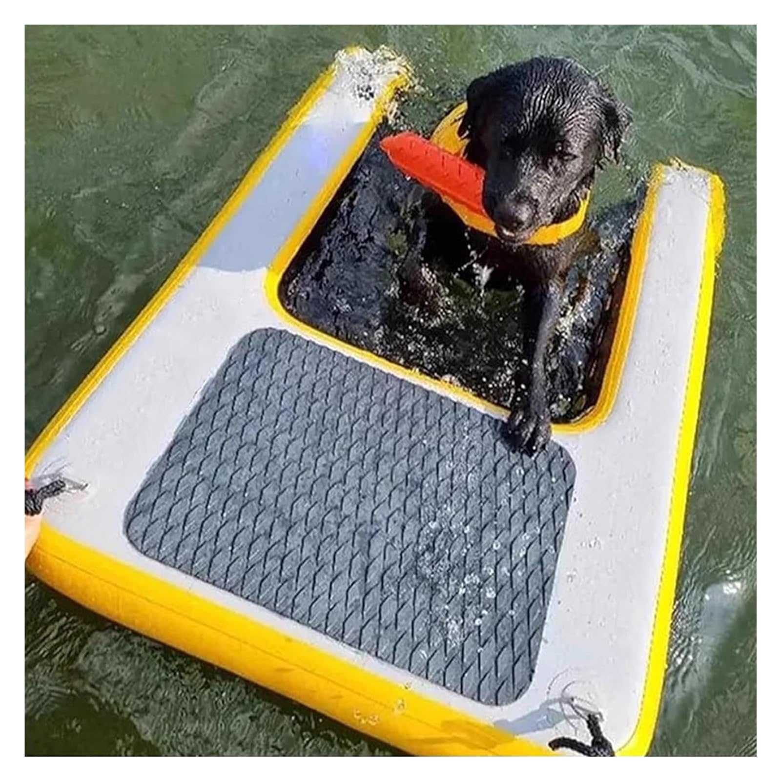 Rampa de Agua para Perros Rampa Flotante Portátil para Perros para Piscinas, Rampa Acuática Inflable para Perros, Accesorio Acuático Flotante Y Plegable para Mascotas(Yellow)
